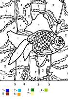 coloriage coloriage magique poisson